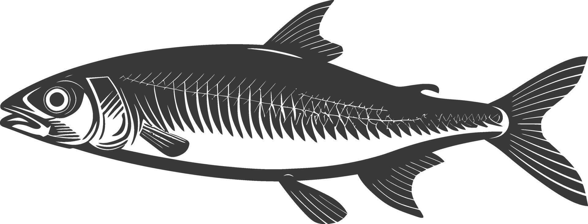 Silhouette sardine fish animal black color only full body vector