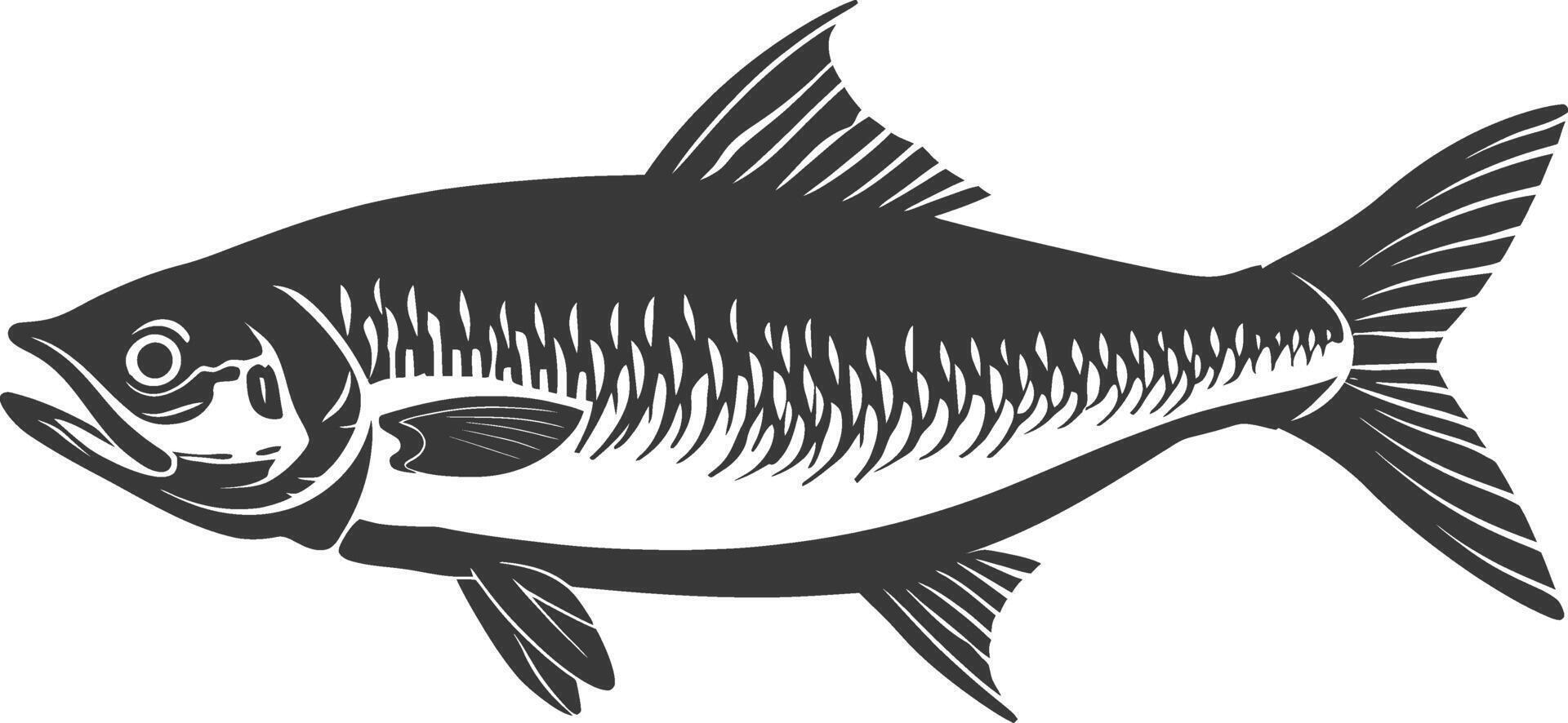 Silhouette sardine fish animal black color only full body vector