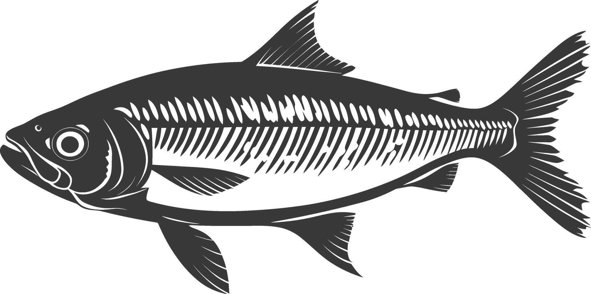 Silhouette sardine fish animal black color only full body vector