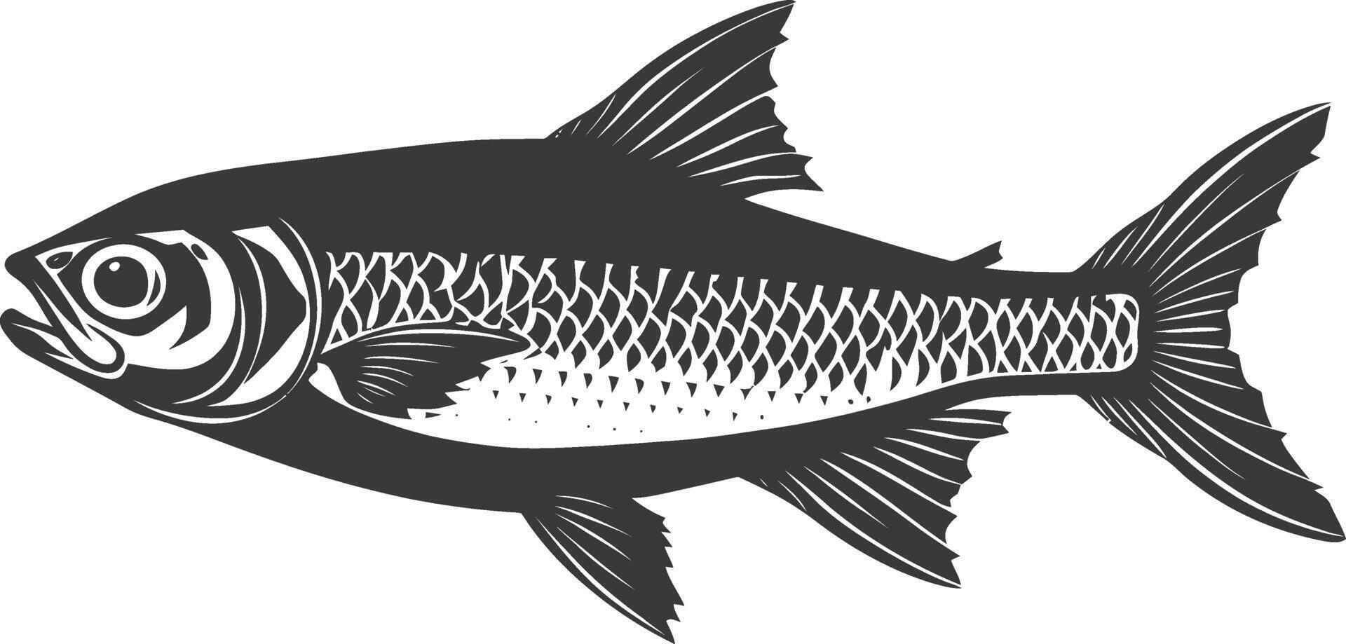 Silhouette sardine fish animal black color only full body vector