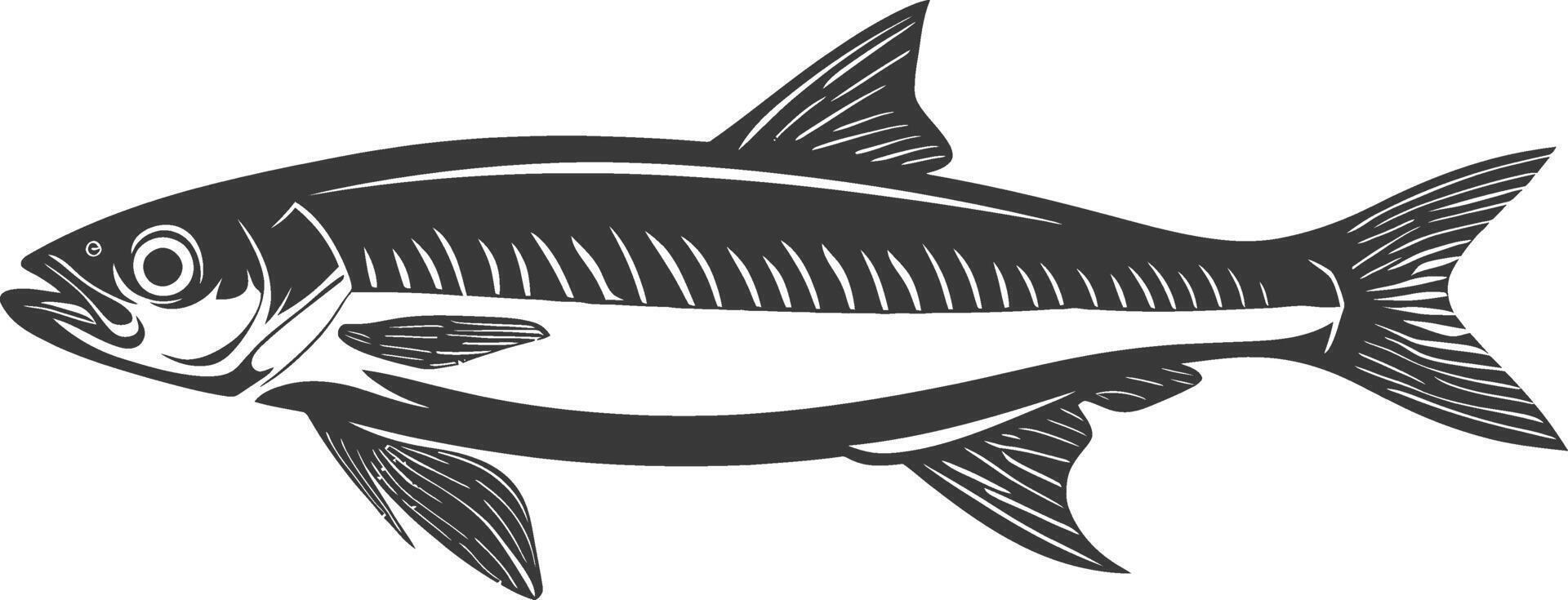 Silhouette sardine fish animal black color only full body vector