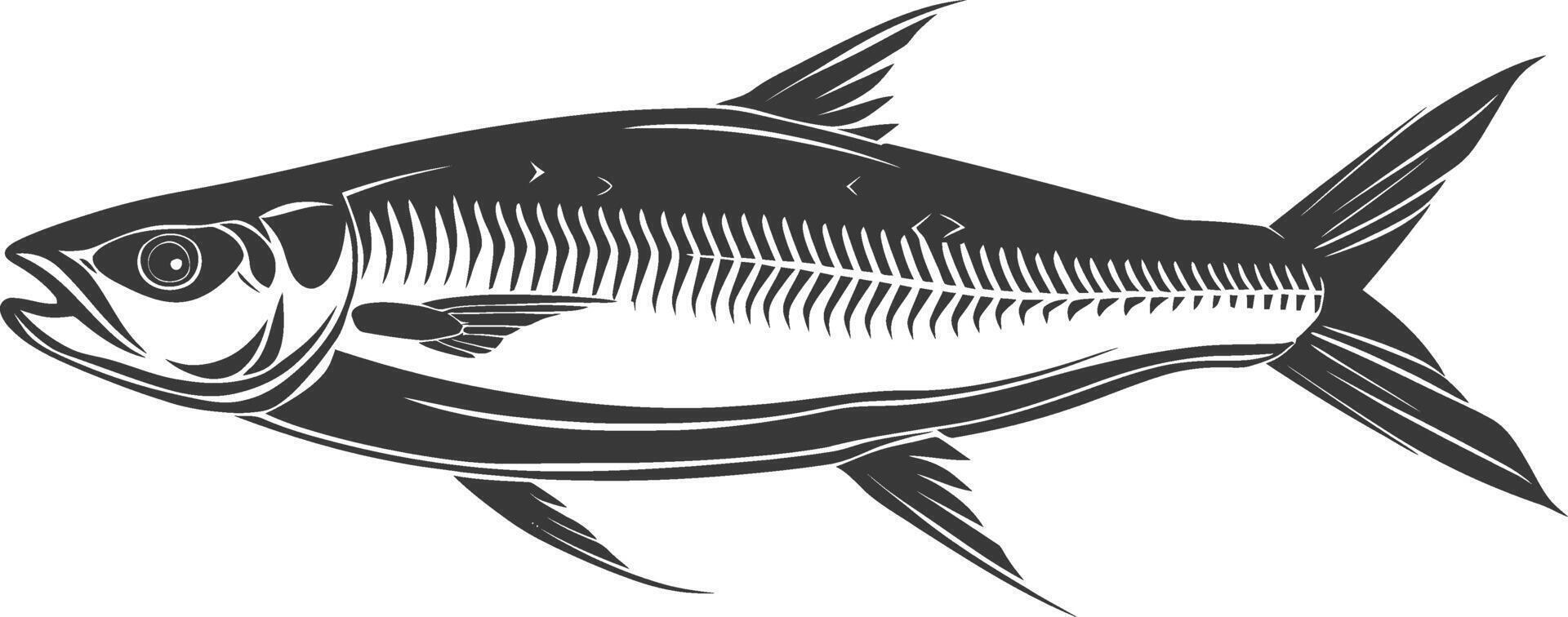 silueta sardina pescado animal negro color solamente lleno cuerpo vector