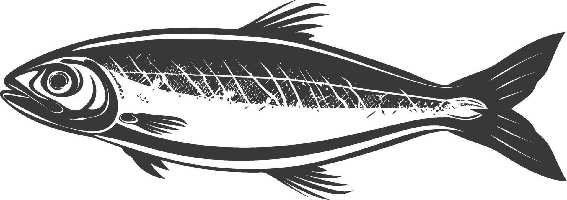 Silhouette sardine fish animal black color only full body vector