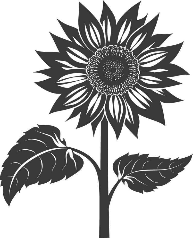 Silhouette sunflower flower black color only vector