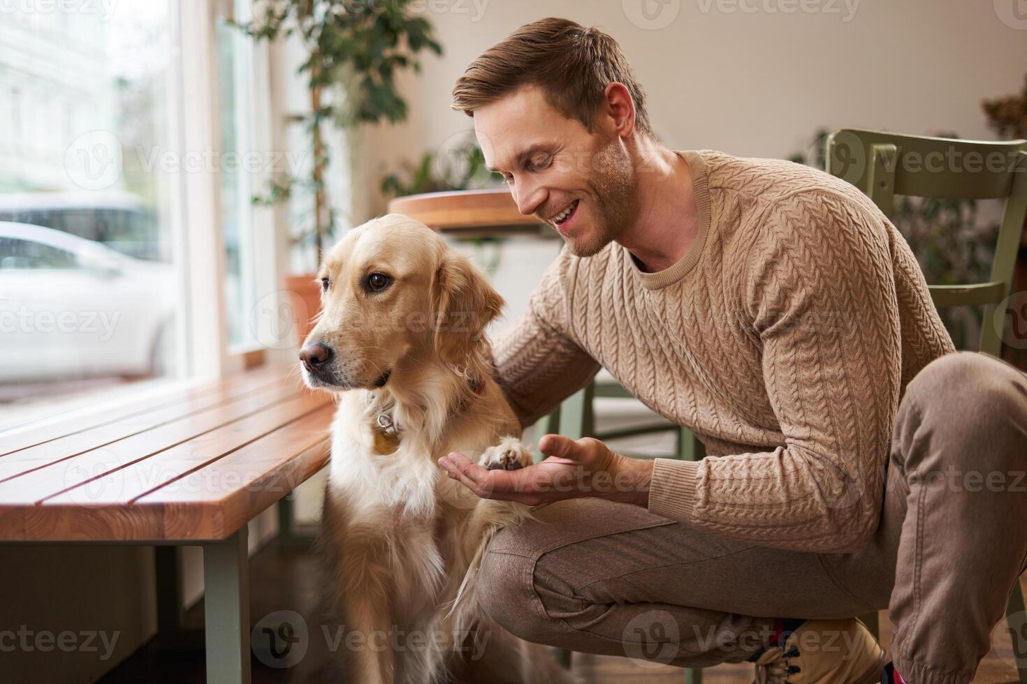 Close up portrait of cute smart dog gives paw to his owner. Handsome man with his golden retriever sitting in a pet friendly cafe photo