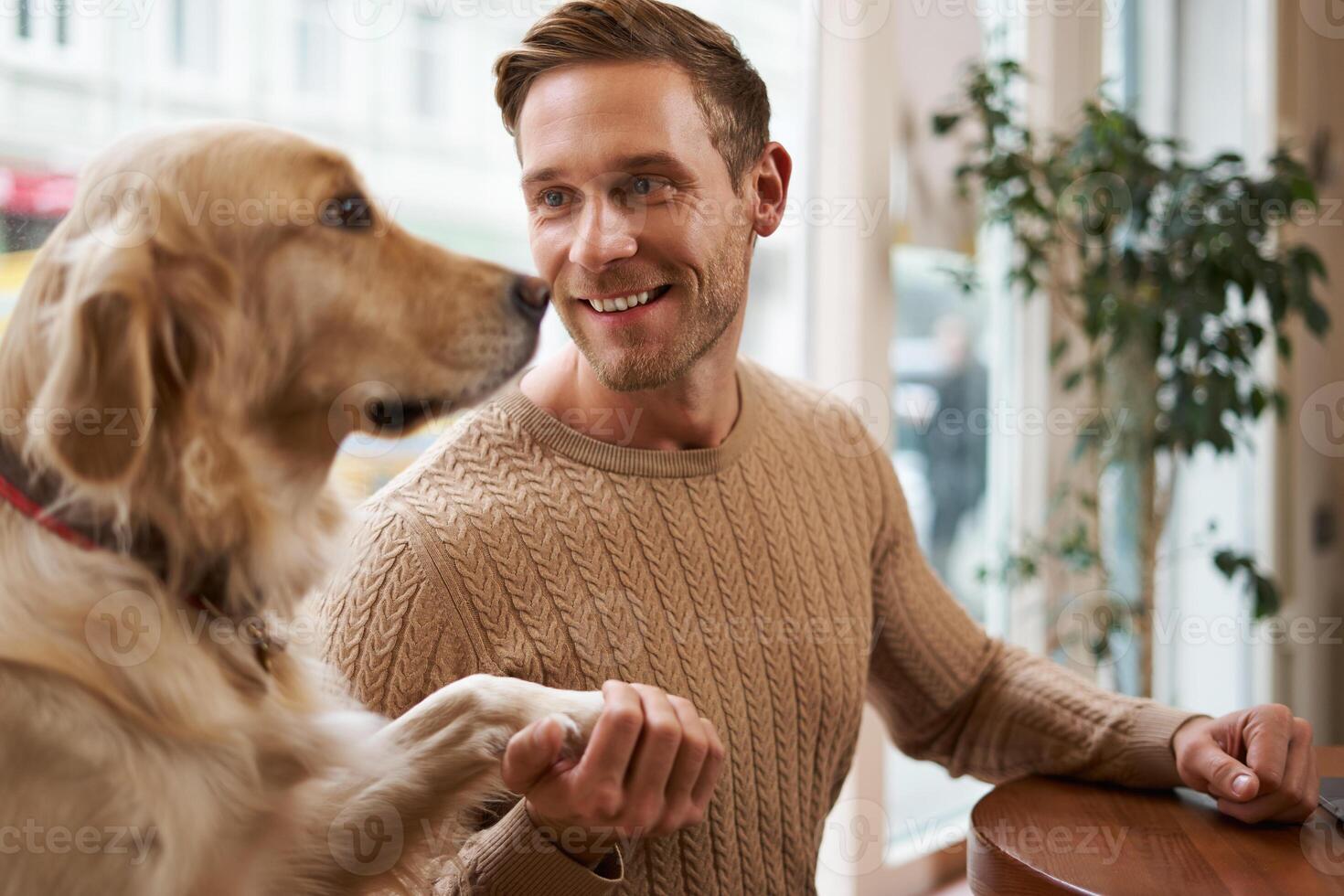 Close up portrait of cute smart dog gives paw to his owner. Handsome man with his golden retriever sitting in a pet friendly cafe photo