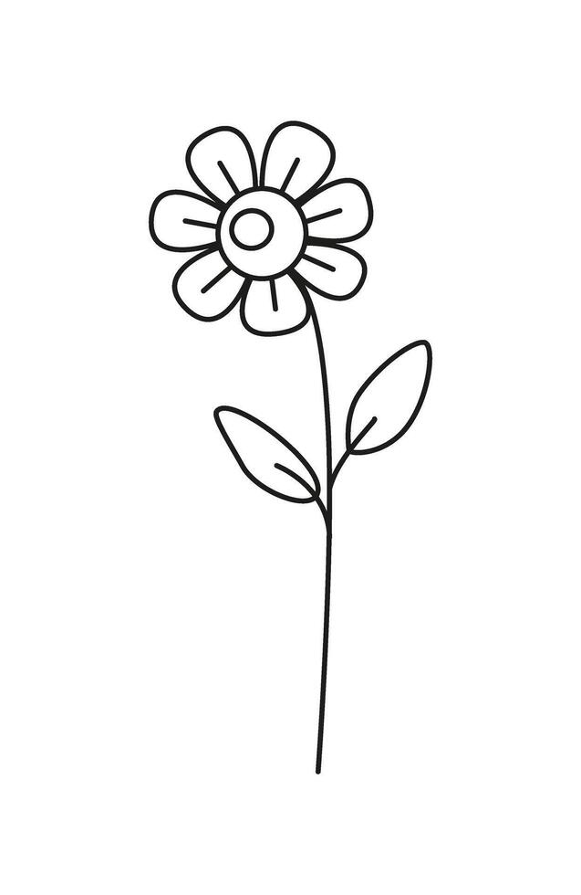 Simple linear daisy flower, chamomile isolated on white. Botanical sketch, drawing. Black and white. Icon, logo, tattoo. vector