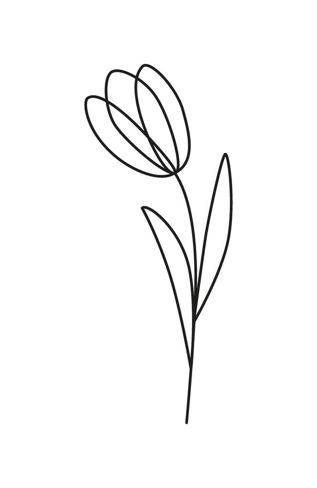 Simple linear flower. Botanical sketch, drawing. Black and white. Icon, logo, tattoo. vector