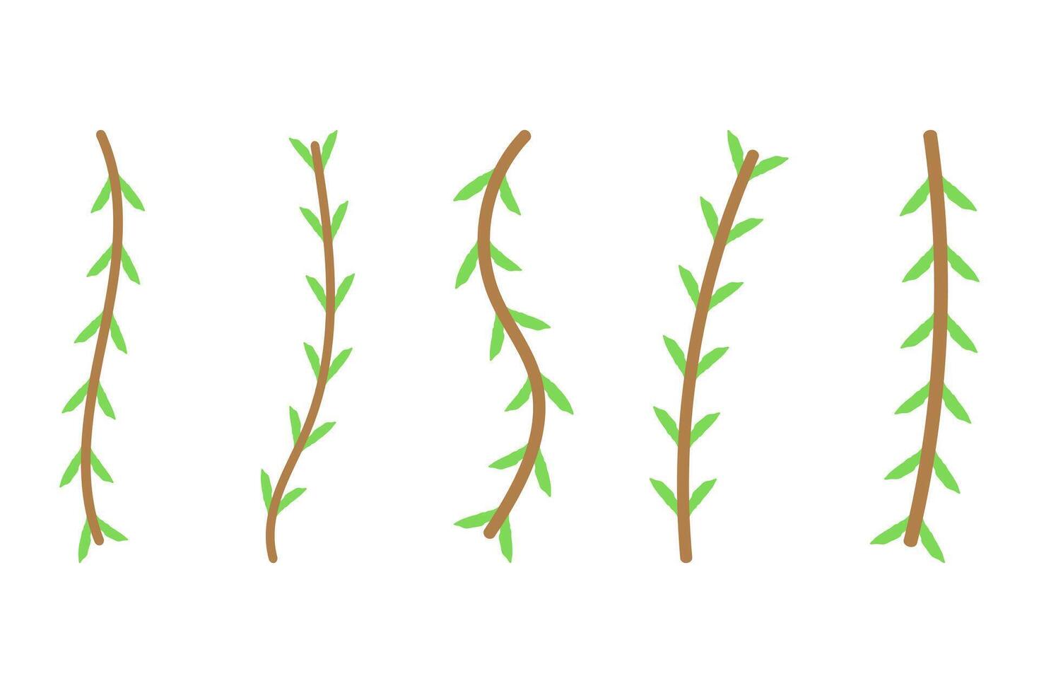 Flower vine icon set. Botanical decoration vector