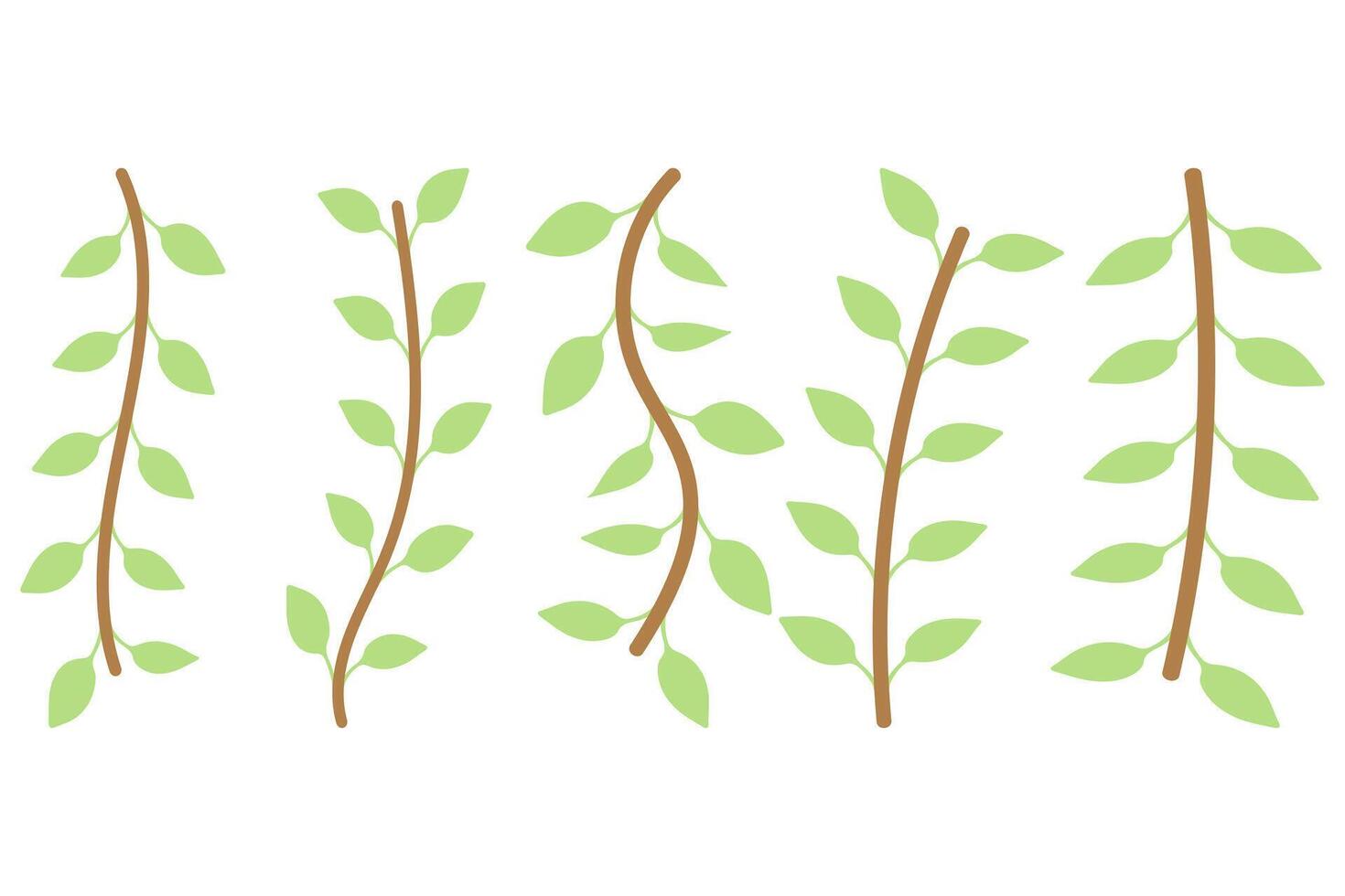Flower vine icon set. Botanical decoration vector