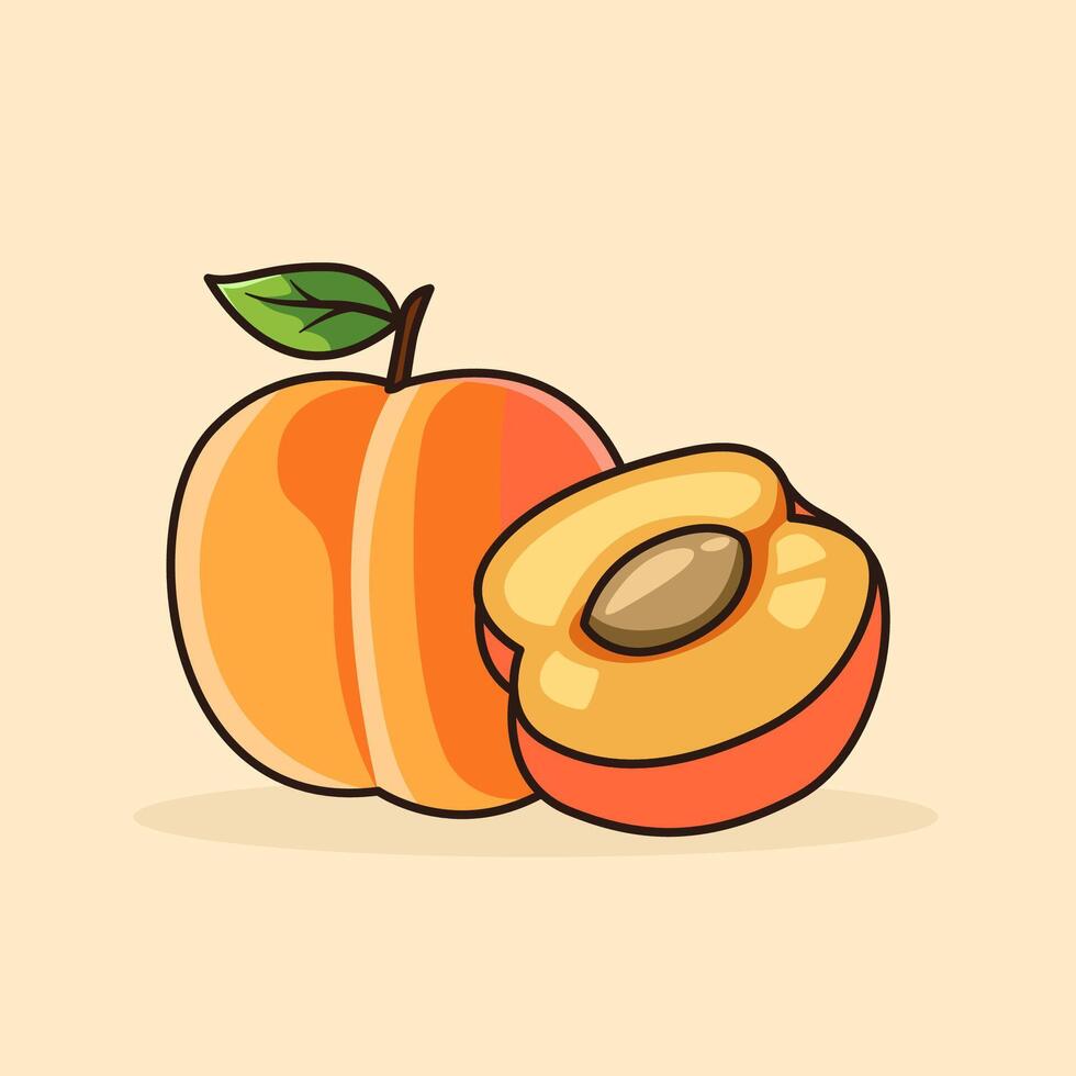 Two pairs of apricots fruit illustration vector