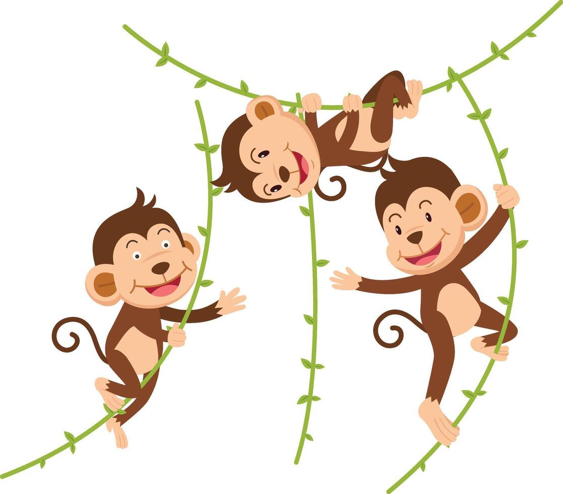 The monkey hangs on a branch isolated illustration vector