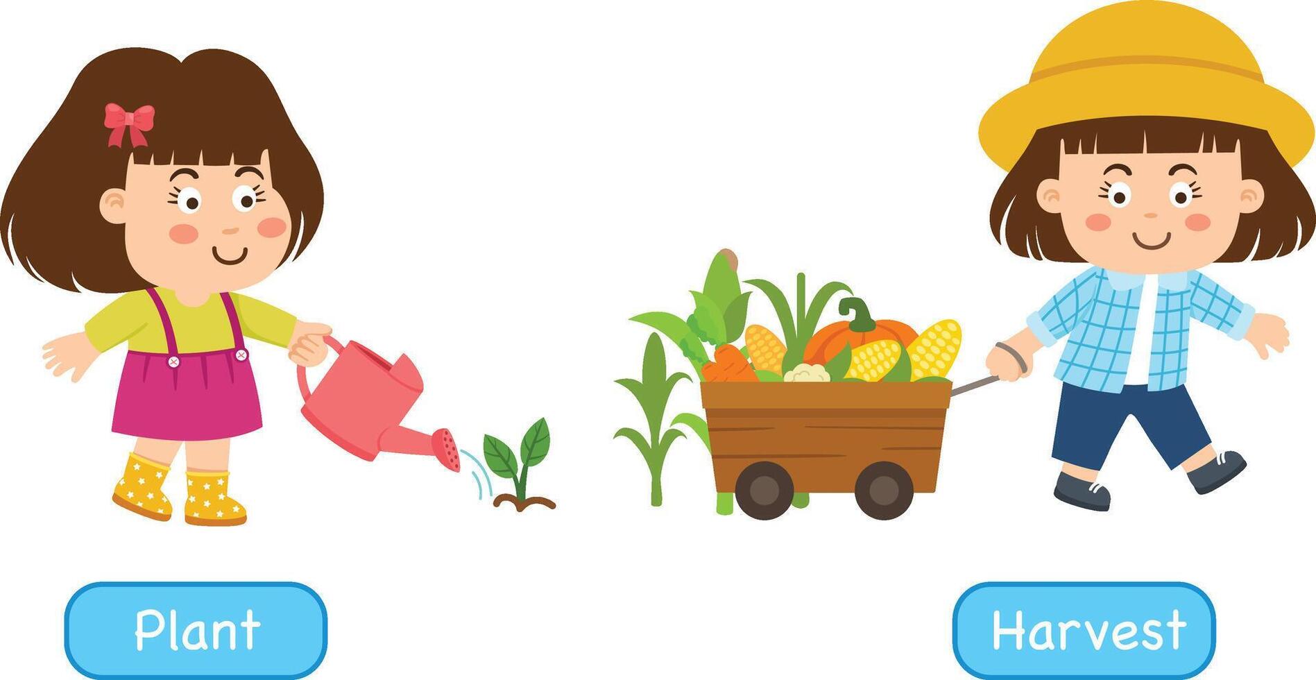 Opposite words to plant and to harvest illustration vector