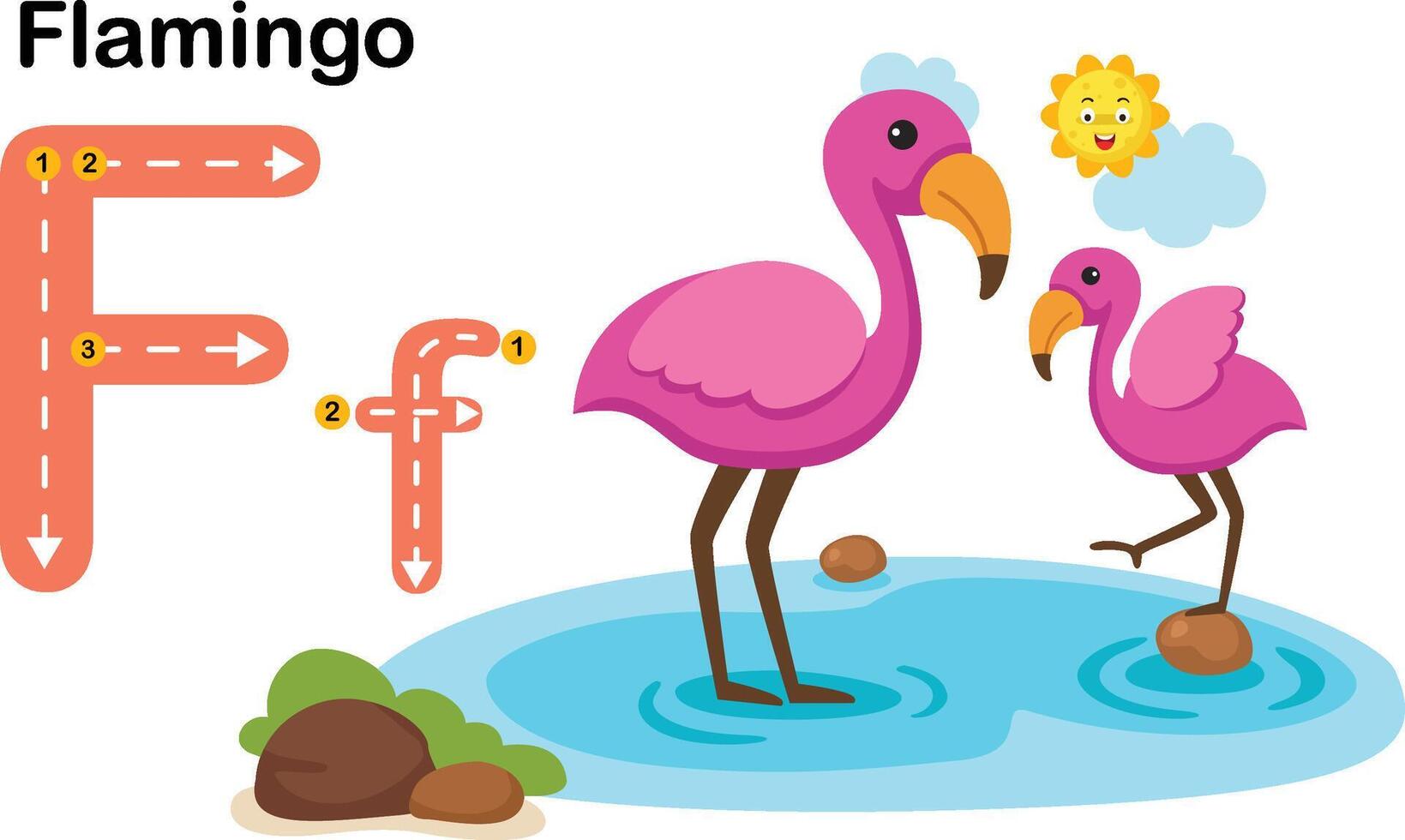 Alphabet Letter F-Flamingo with cartoon vocabulary illustration, vector