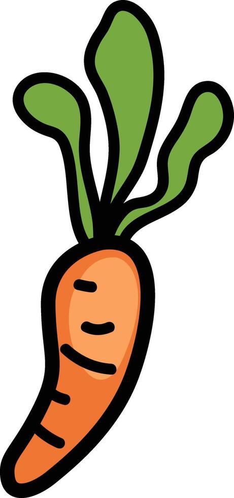 Hand drawn carrot illustration, vector