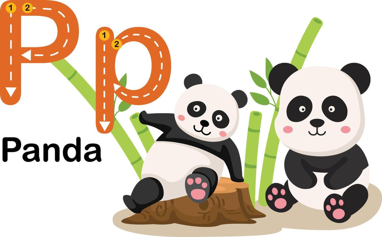 alfabeto letra p-panda con dibujos animados vocabulario ilustración, vector