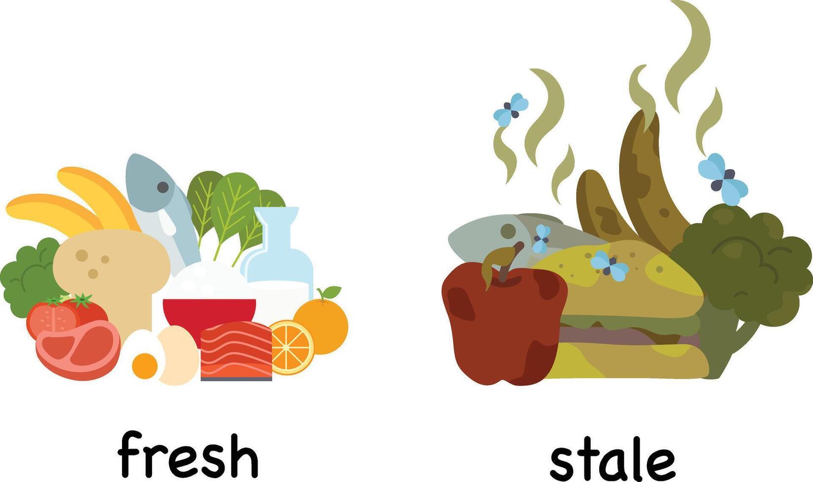 Opposite words fresh and stale illustration vector