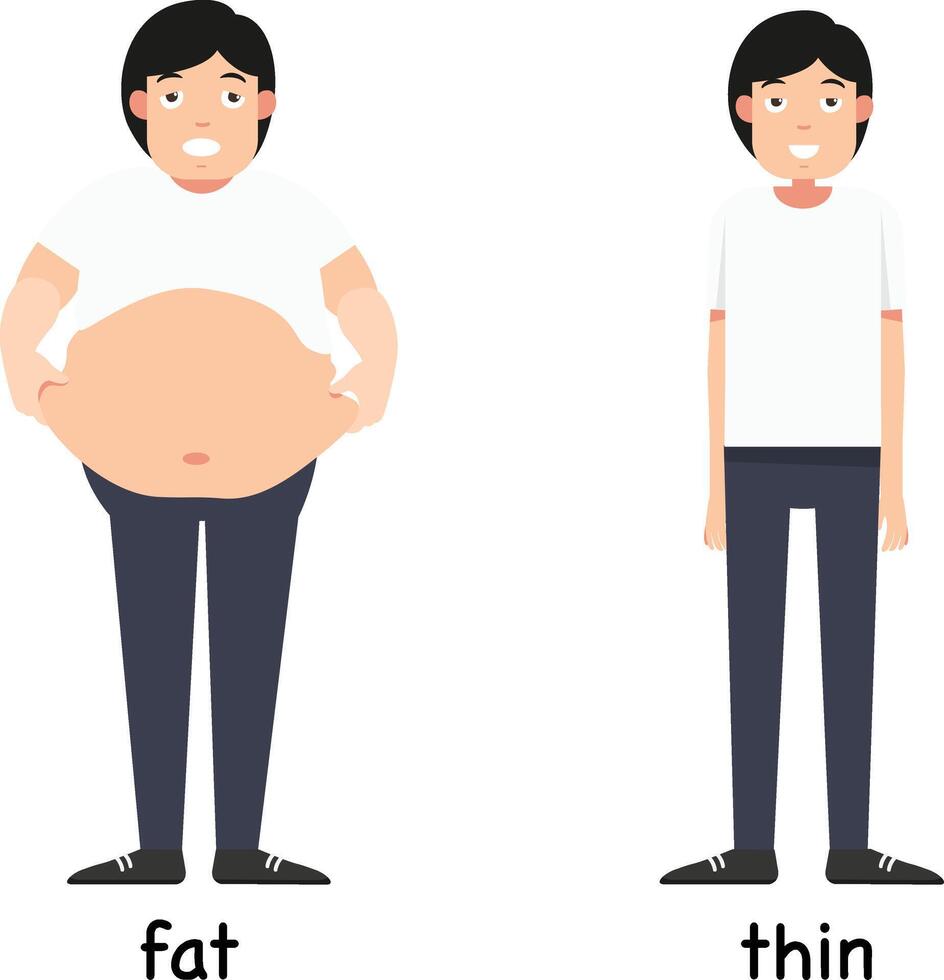 Opposite words fat and thin illustration vector