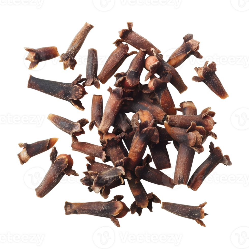 Dry Cloves on Transparent background - png