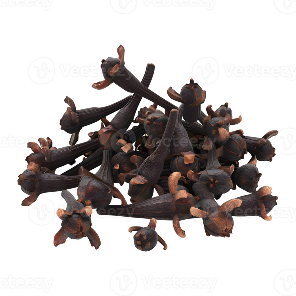 Dry Cloves on Transparent background - png