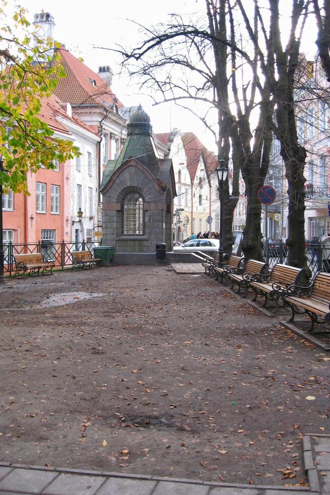 Historical houses on cobbled street in old town. The medieval architecture of small walkway in empty streets and alleys. Detail of buildings in narrow lane. Tallinn, Estonia - February 6, 2024 photo