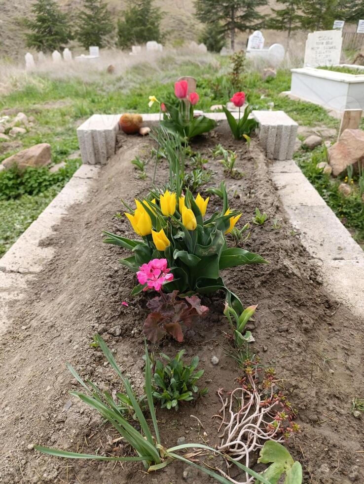 a flower bed with a grave marker in the middle. photo