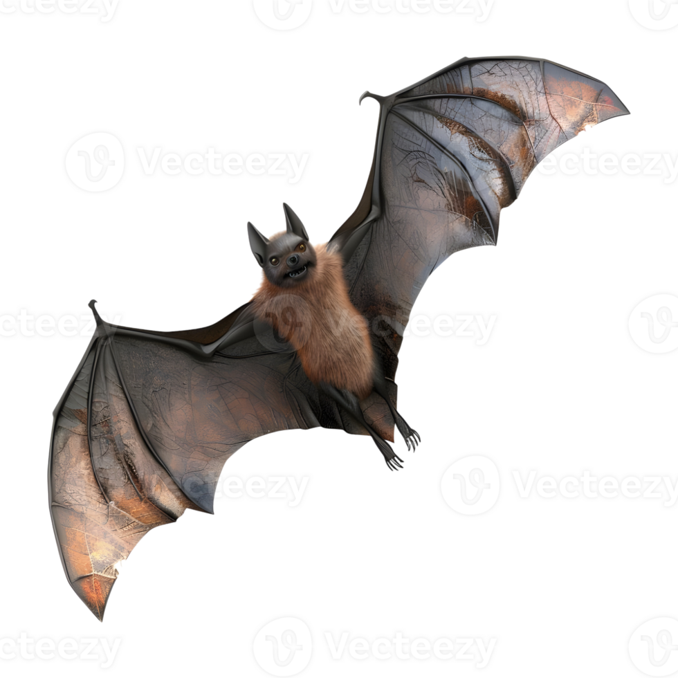 Bat Flying on Transparent background - png