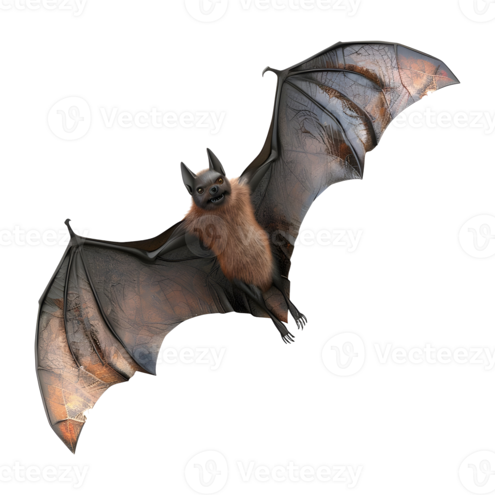 chauve souris en volant sur transparent Contexte - png