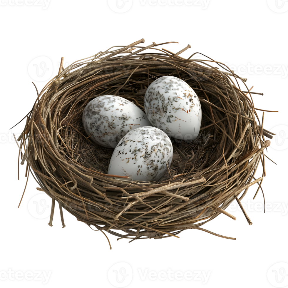 Eggs in a Nest on Transparent background - png