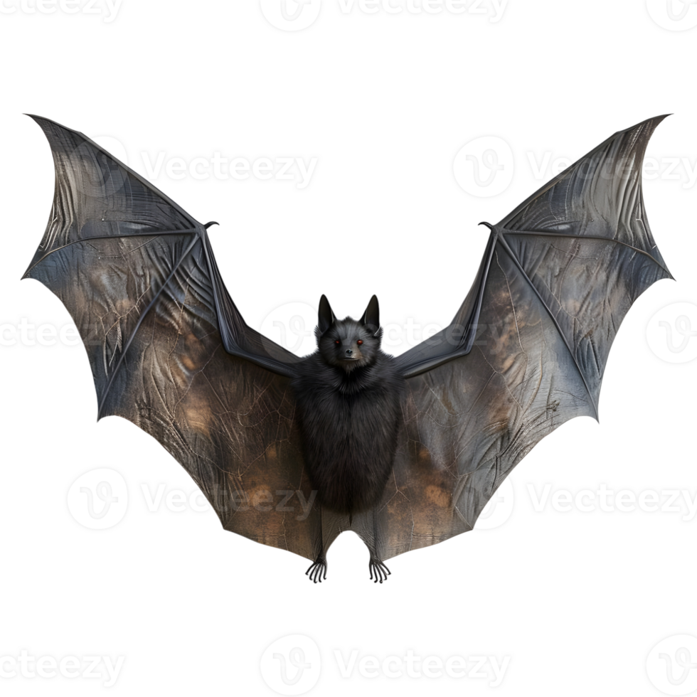 Bat Flying on Transparent background - png