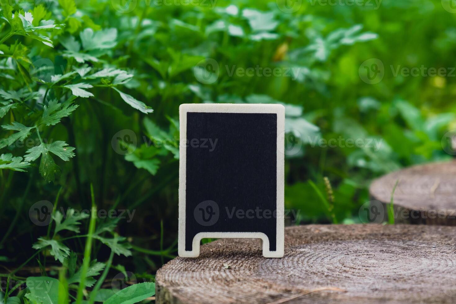 Blackboard empty copy space for advertisement on farm harvesting background of eco-friendly sustainable growth parsley. Place for text template mock up farm core healthy agricultural food produce photo