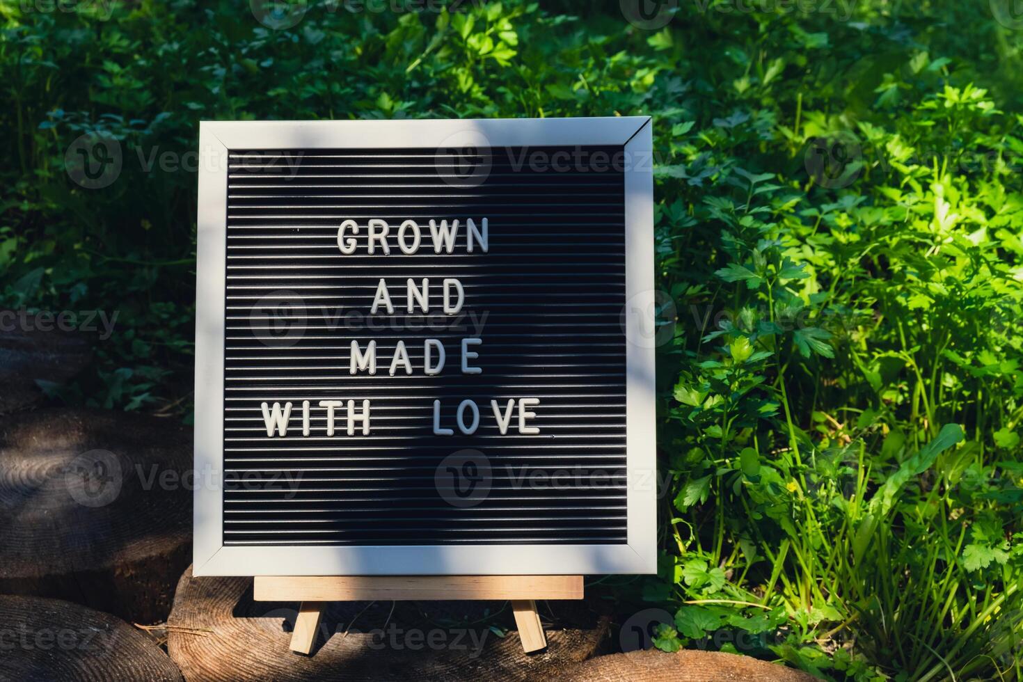 Letter board with text GROWN AND MADE WITH LOVE on background of garden bed with green herb parsley. Organic farming, produce local vegetables concept. Supporting local farmers. Seasonal market photo