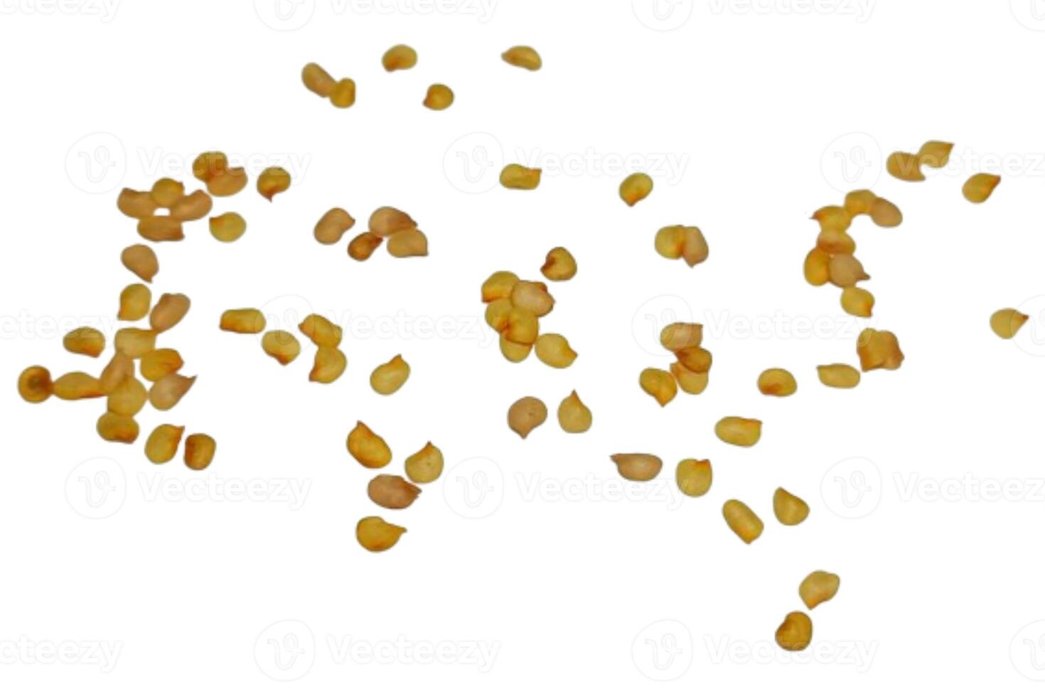 Chilli seeds pile isolated on white background photo
