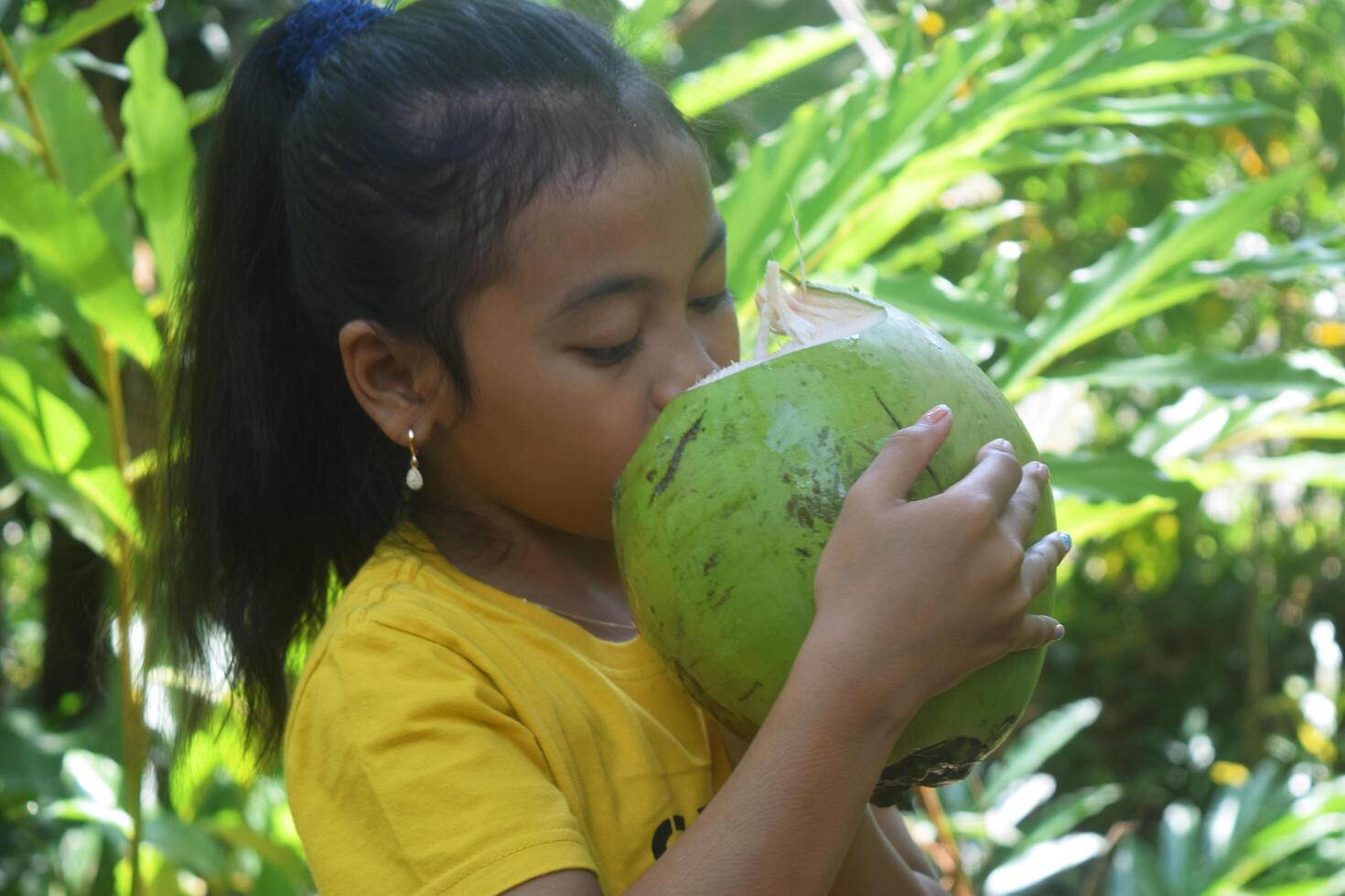 tasikmalaya, t, 2023 - un niña bebidas verde Coco agua directamente desde el Fruta en un pueblo en tasimalaya, Oeste Java foto