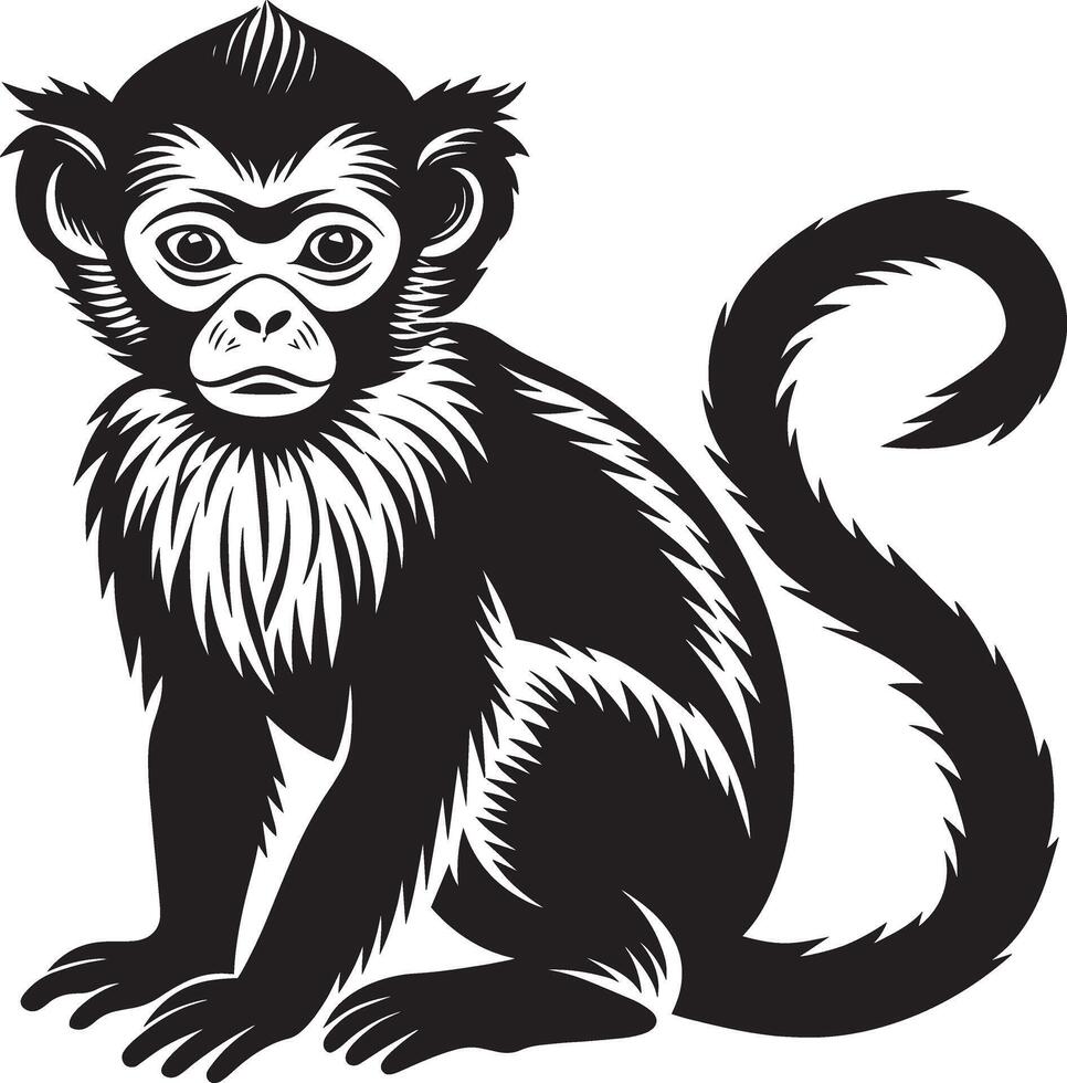 Monkey silhouette. black and white. illustration in white background vector