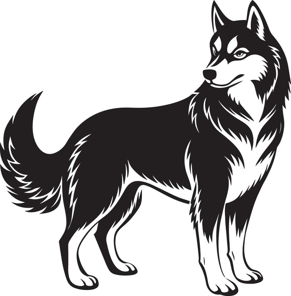 perro silueta. negro y blanco. ilustración en blanco antecedentes vector