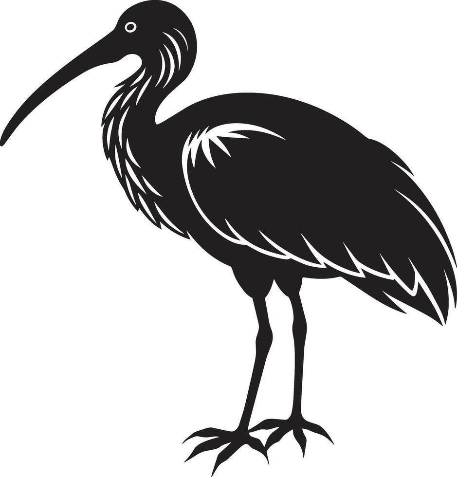 of a silhouette of a ibis on a white background vector