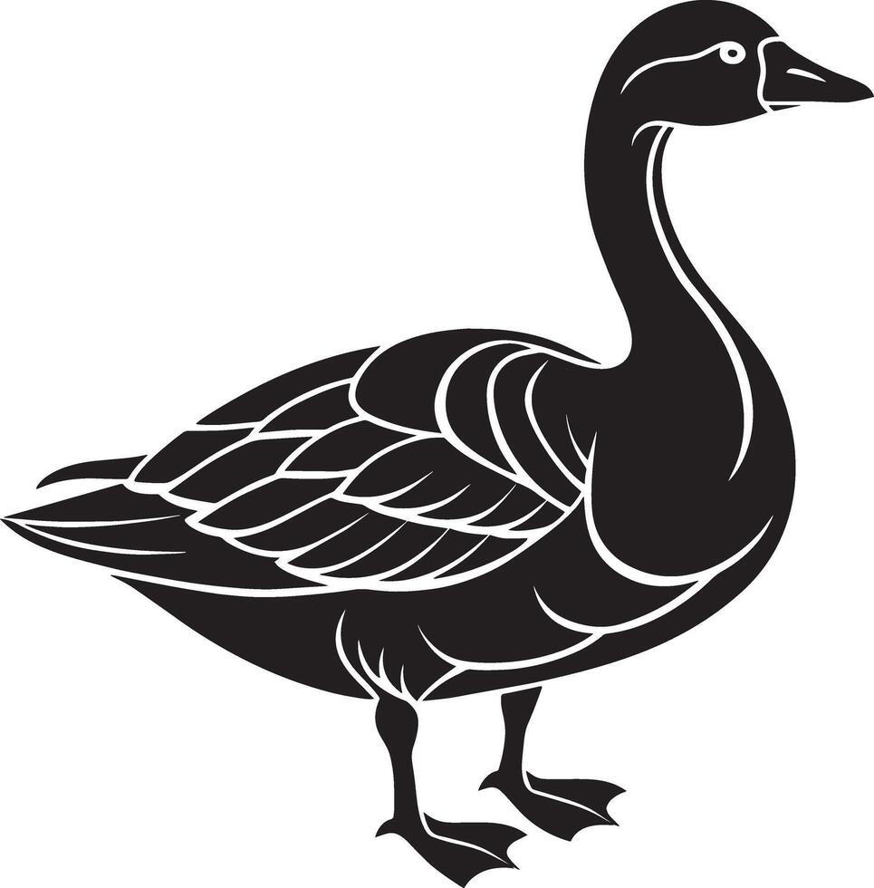 Black and white goose isolated on a white background. illustration. vector