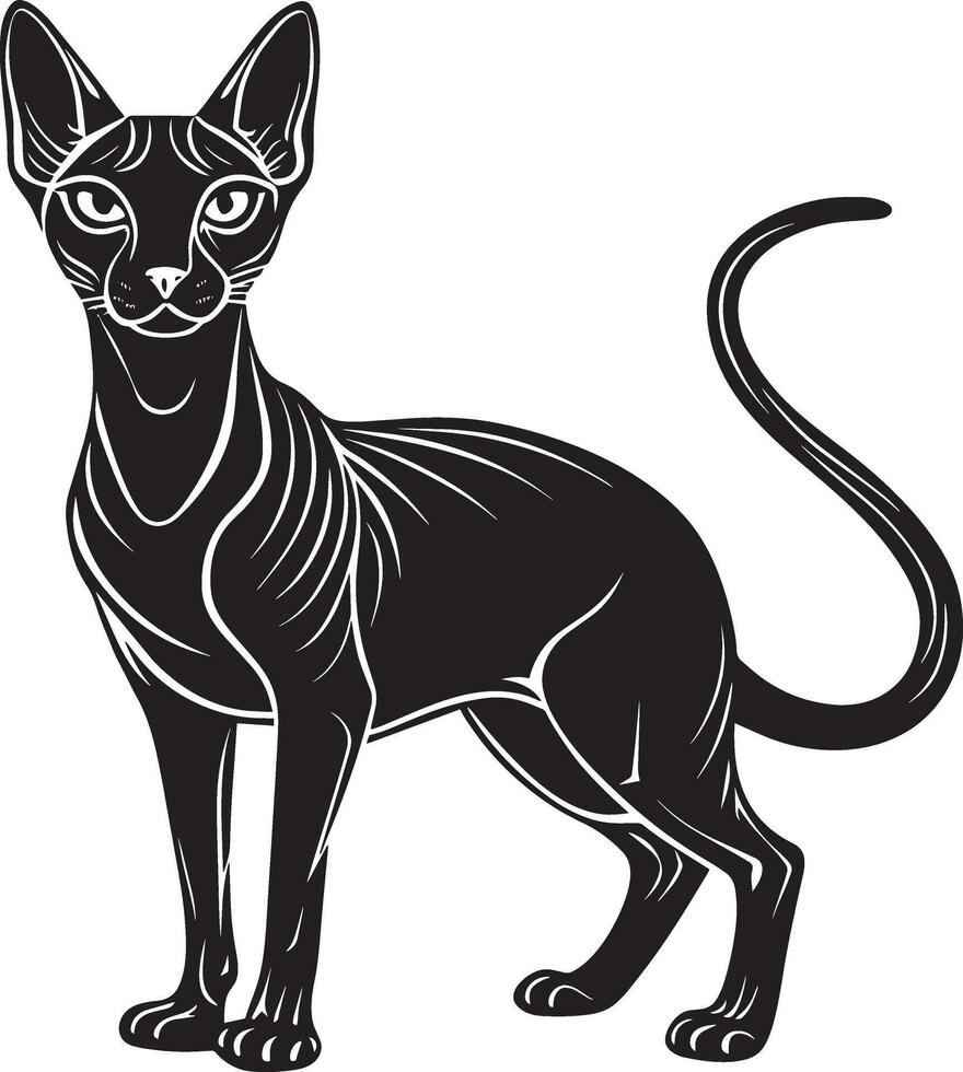 imagen de un sphynx gato en un blanco antecedentes. vector