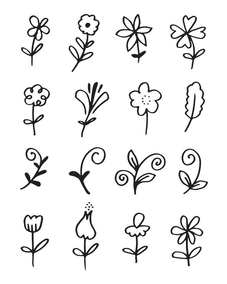 floral y herbario conjunto en blanco antecedentes. vector