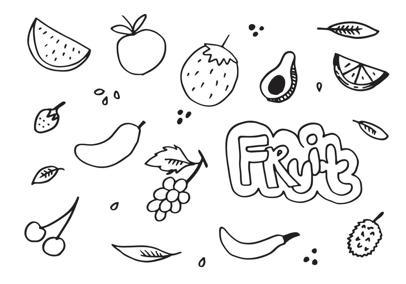 Doodle fruit set. hand drawing of fruits in different styles. vector