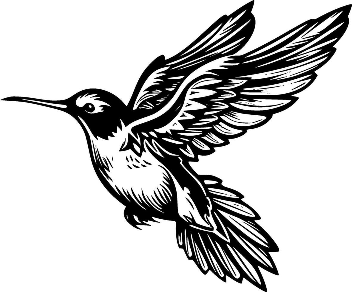 colibrí - negro y blanco aislado icono - ilustración vector