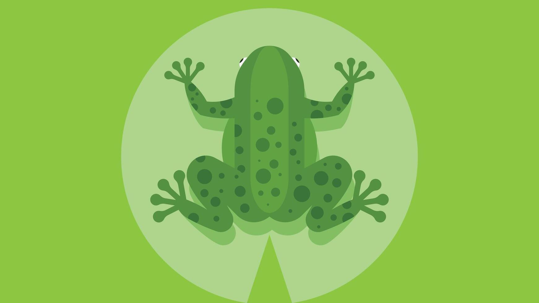 frog animal cartoon character illustration vector