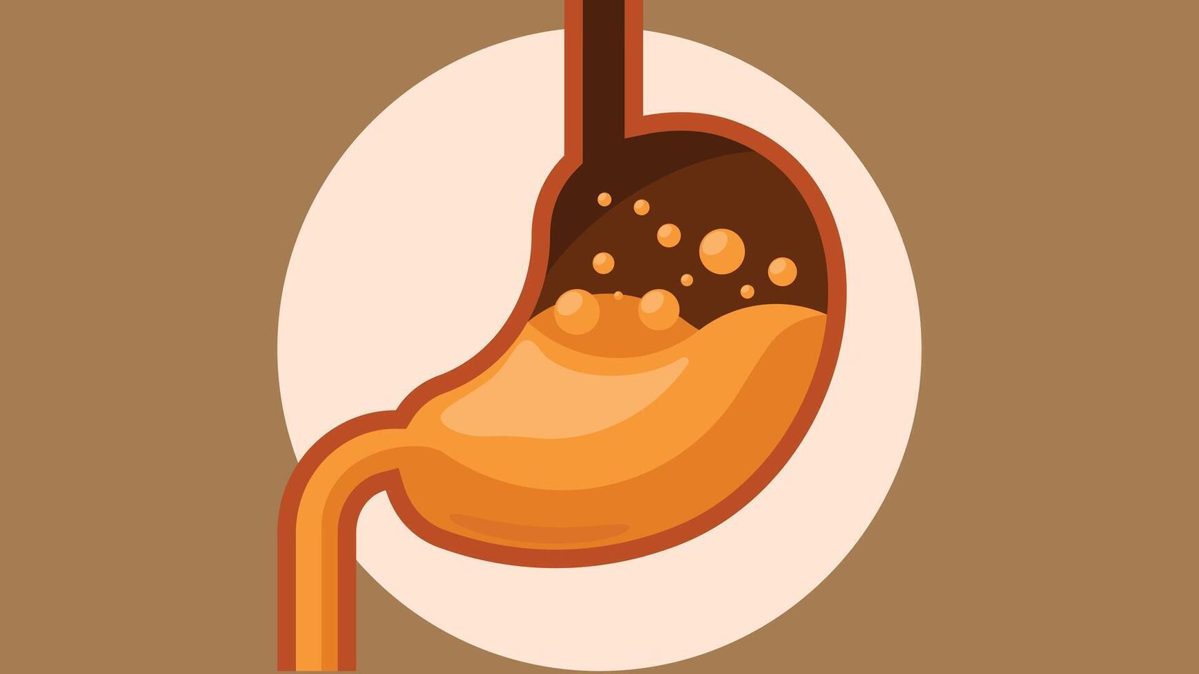 Human organ stomach in process of digestion of food illustration vector