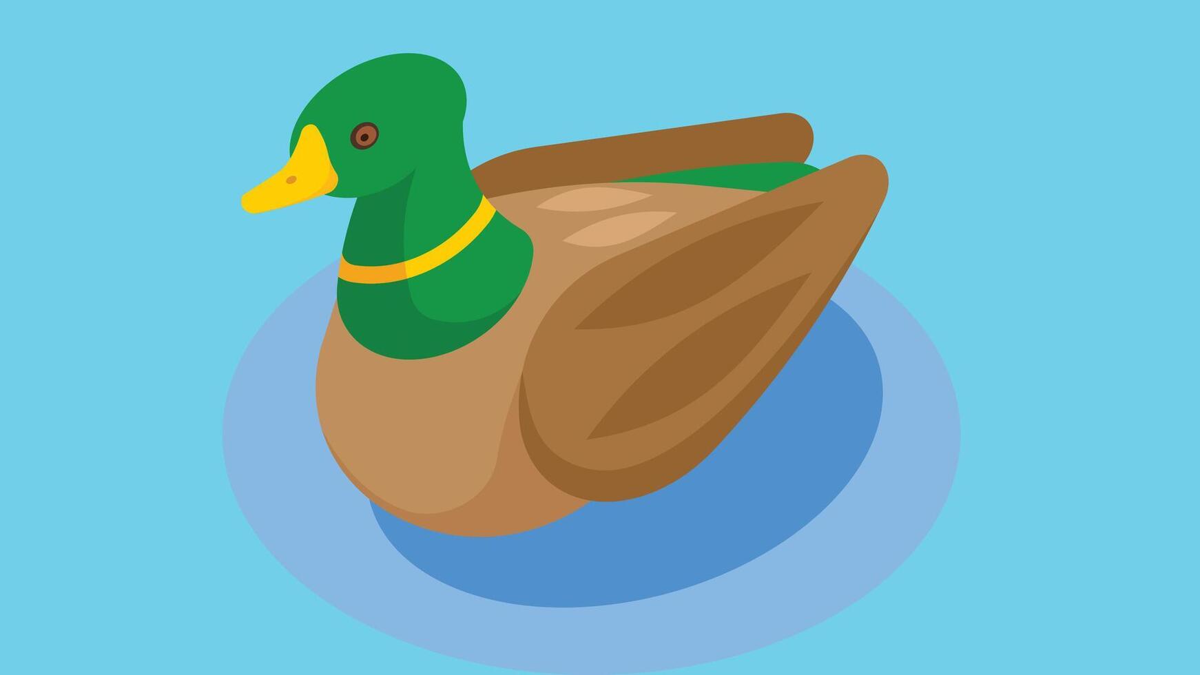 Duck bird swimming in the pond for children coloring book vector