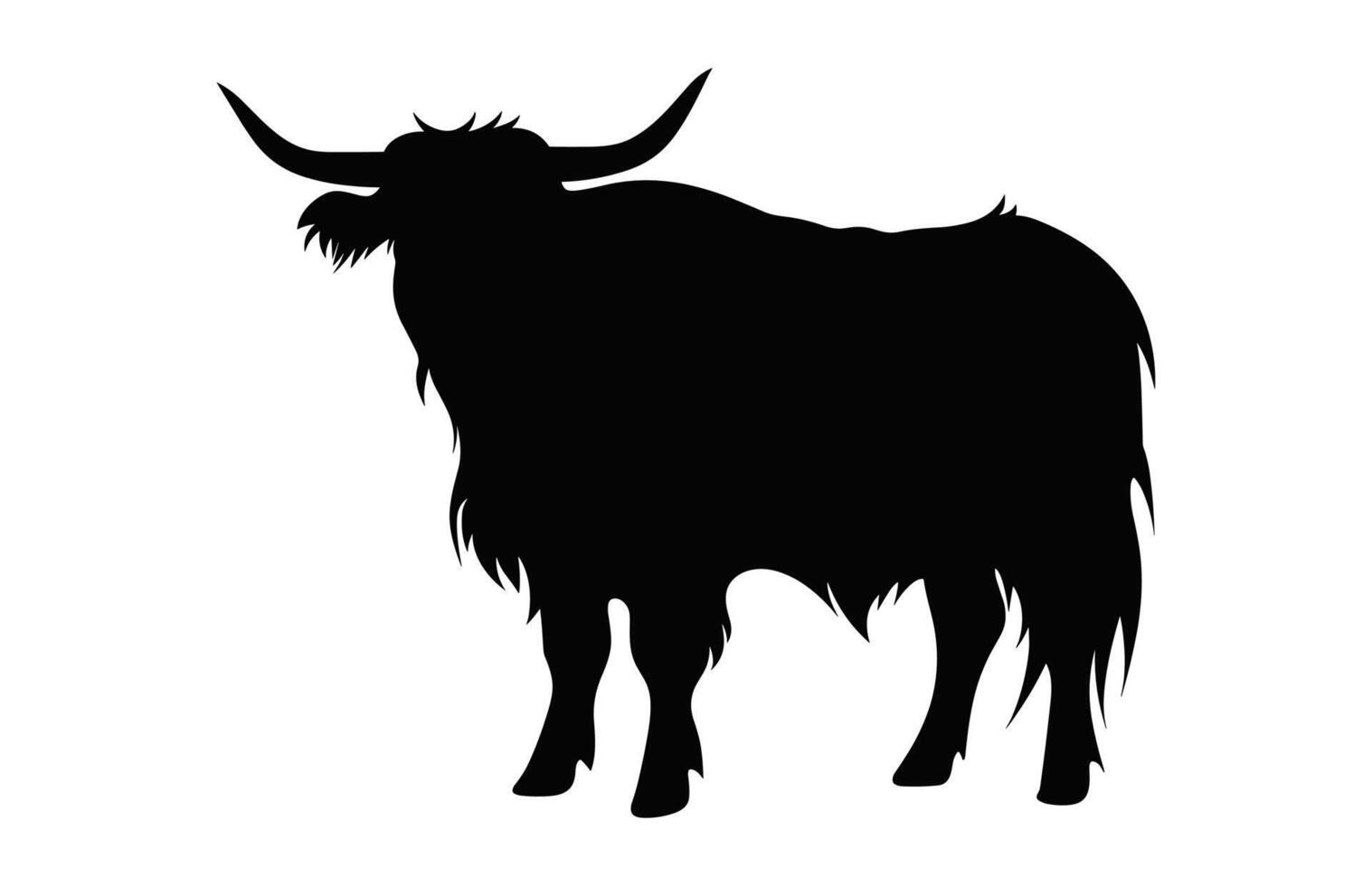 Highland Cattle Silhouette isolated on a white background vector