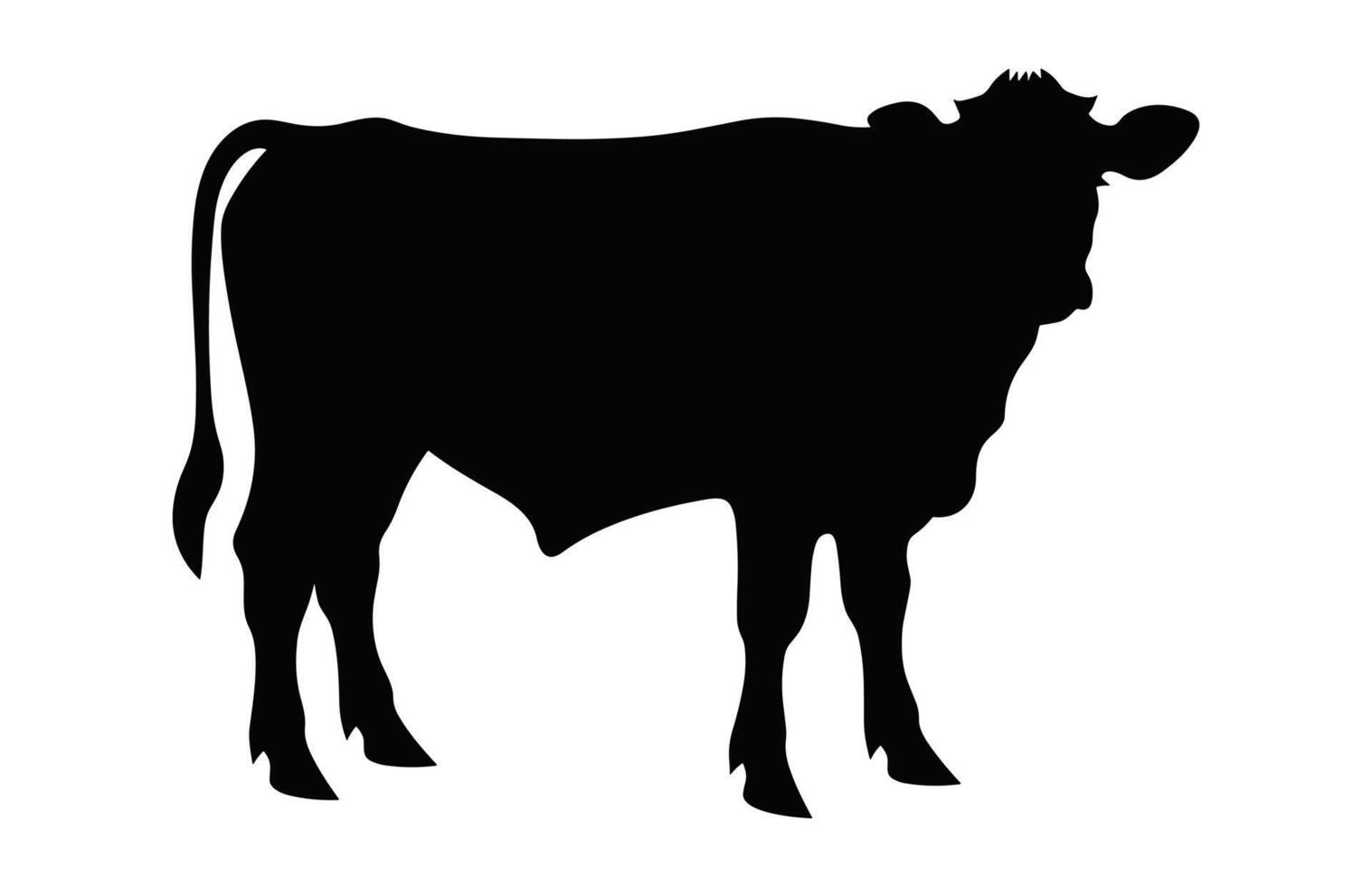 Hereford Cattle Cow Silhouette isolated on a white background vector