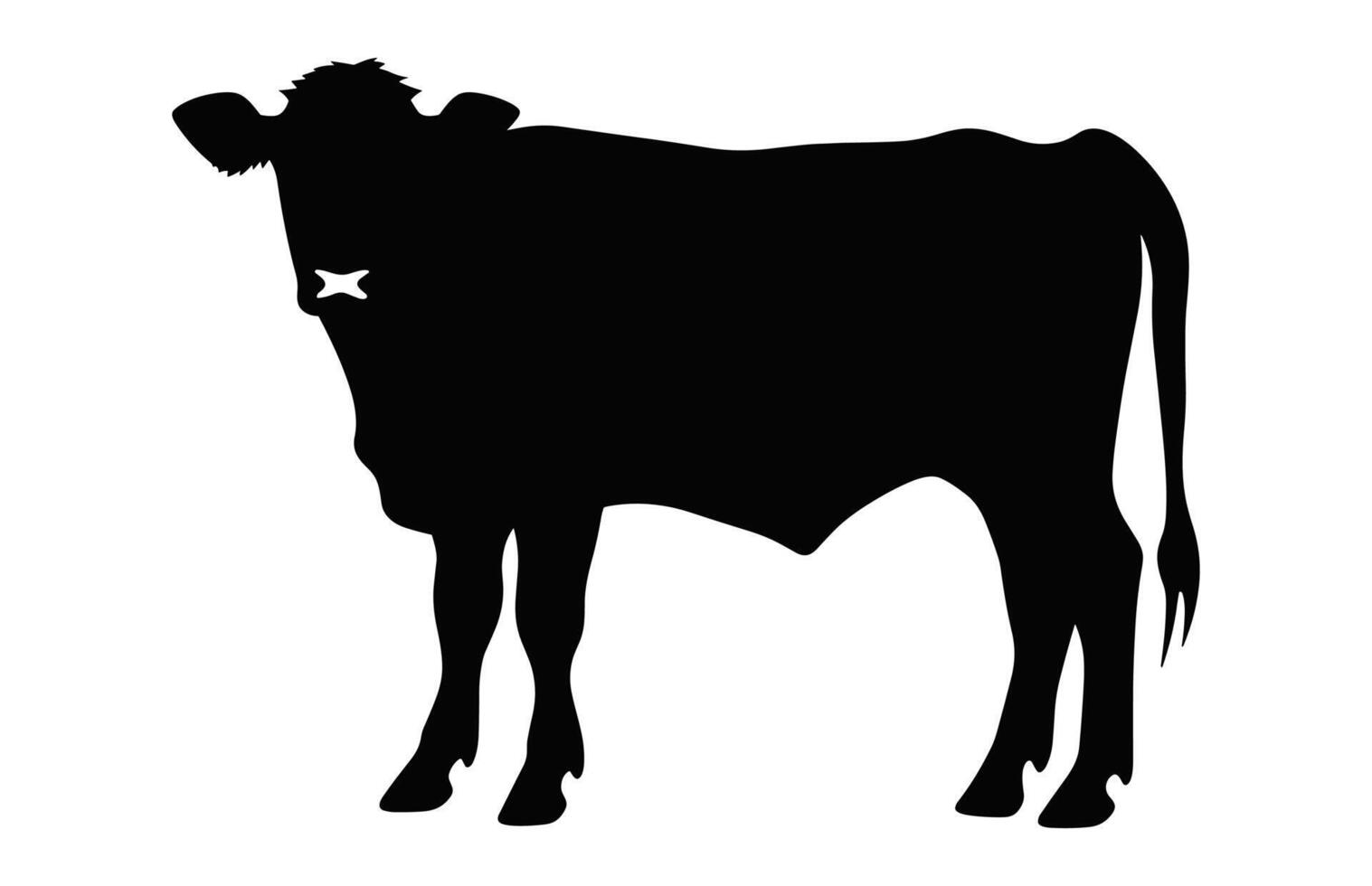 Hereford Cattle Cow Silhouette isolated on a white background vector