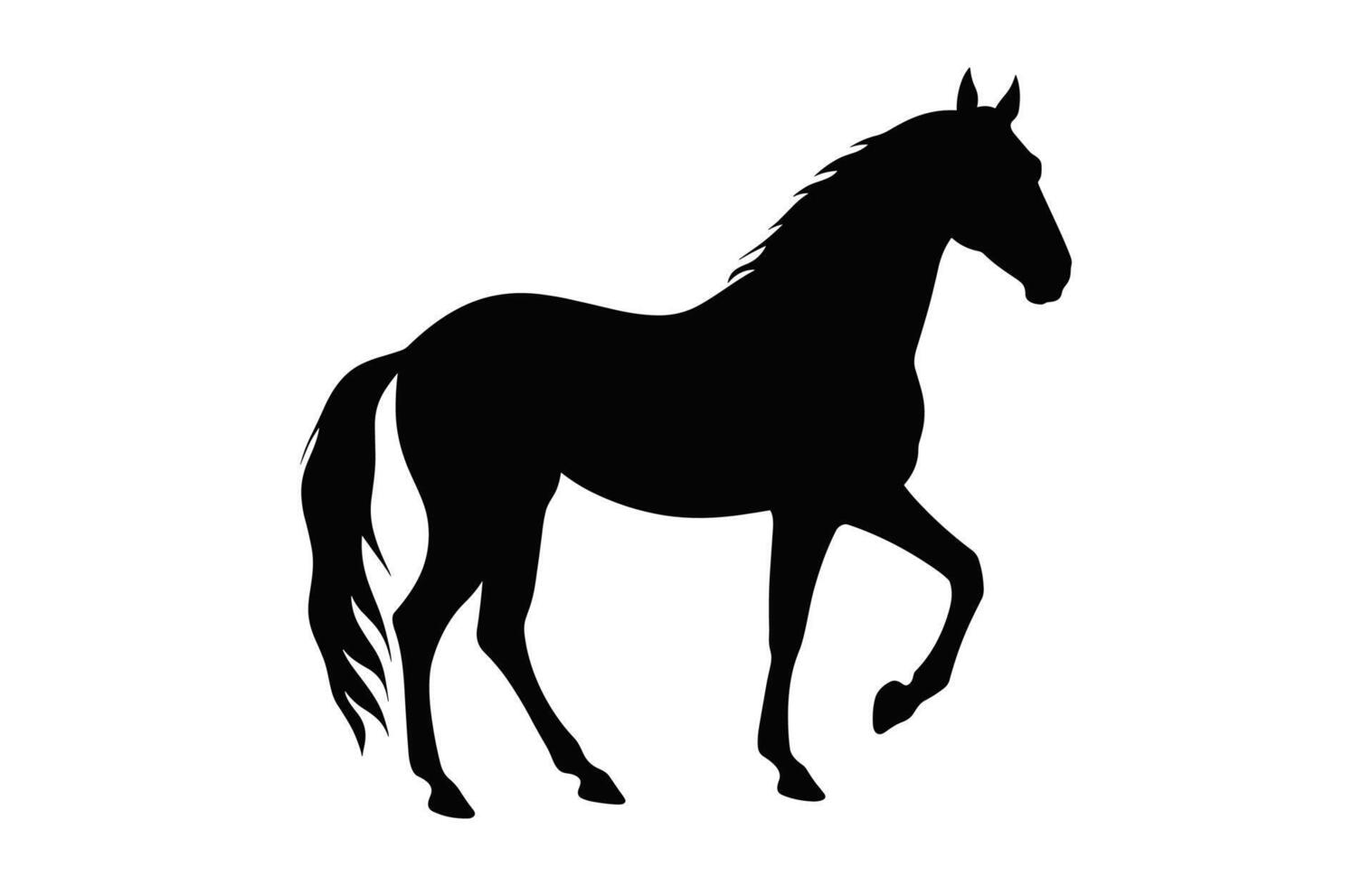 Horse Silhouette isolated on a white background vector