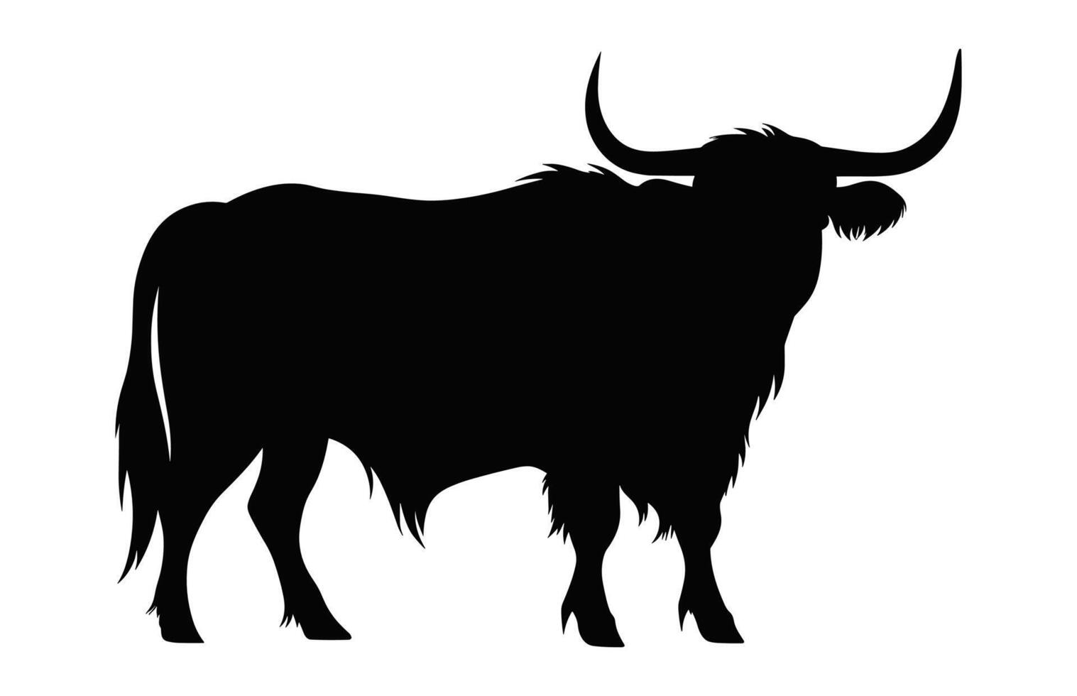 Highland Cattle Cow Silhouette isolated on a white background vector
